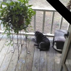 Meet your Posher, Steve